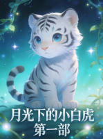 月光下的小白虎 第一部封面