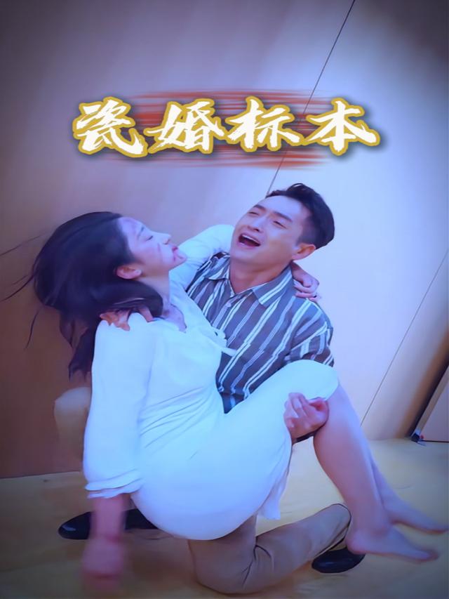 瓷婚标本封面