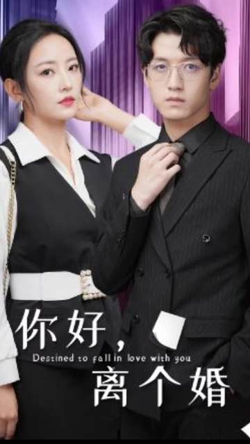 你好离个婚封面