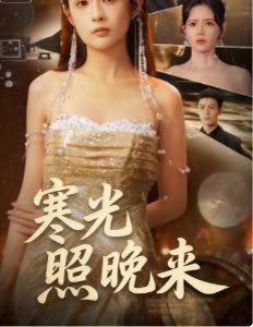 寒光照晚来封面
