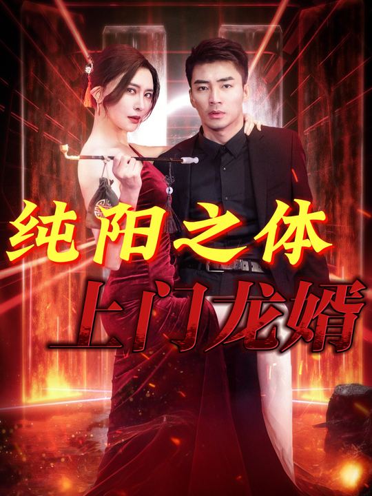 纯阳之体,上门龙婿封面