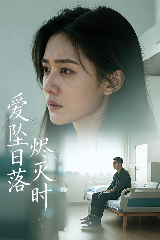 爱坠日落烬灭时封面