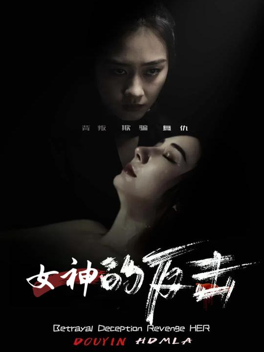 女神的反击封面