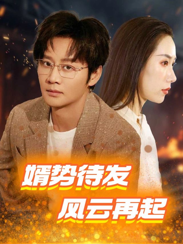 婿势待发,风云再起封面