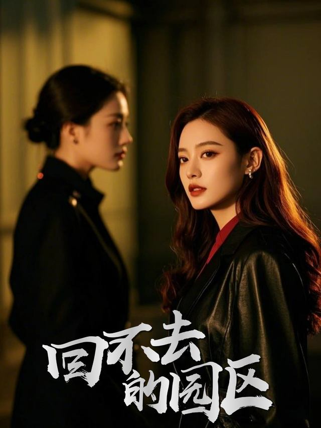 回不去的园区封面