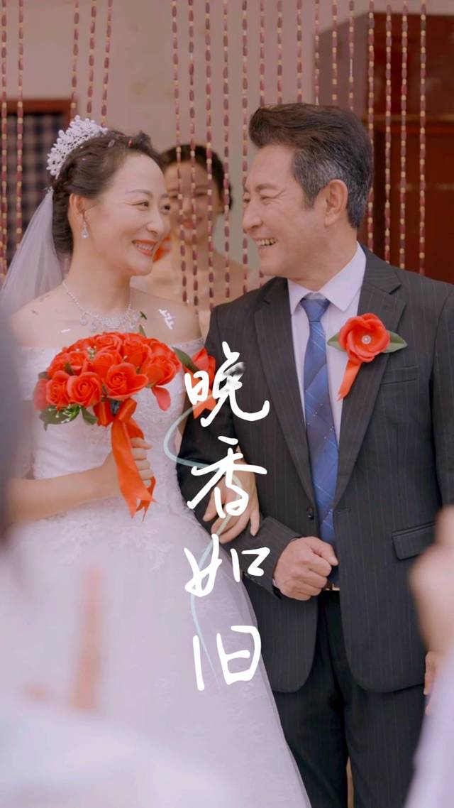 晚香如旧封面