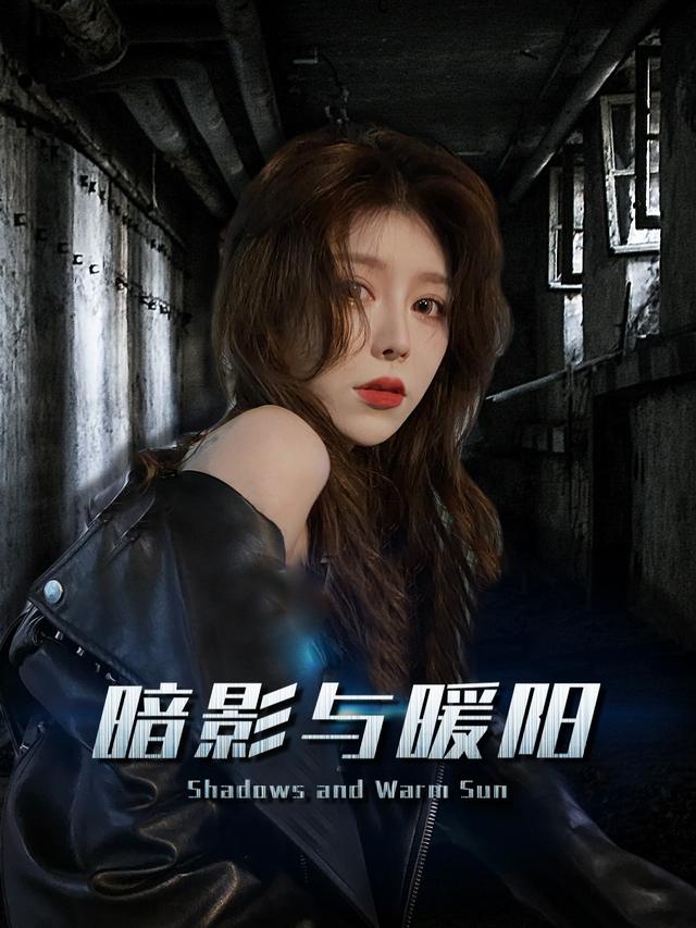 暗影与暖阳封面