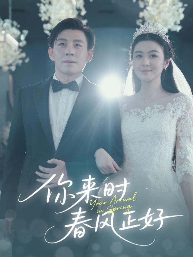 你来时春风正好封面