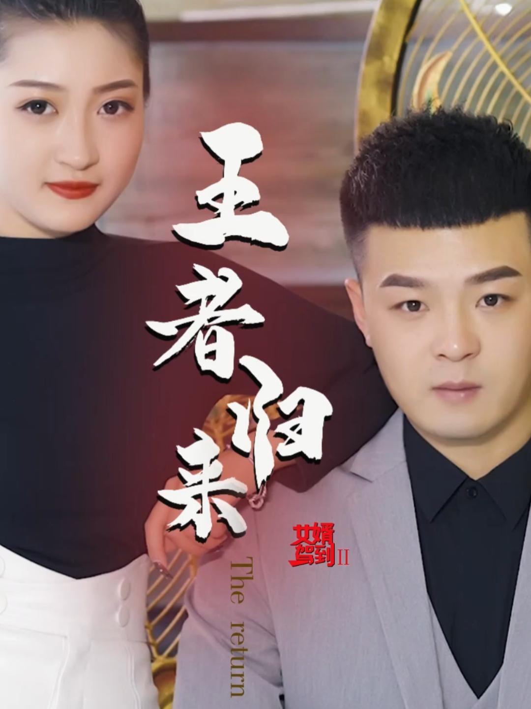 女婿驾到之王者归来封面