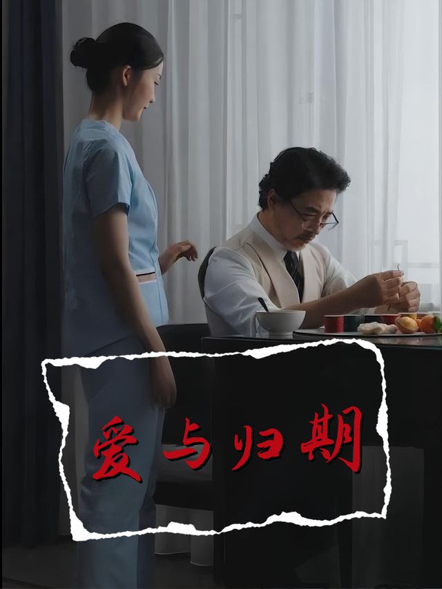 爱与归期封面