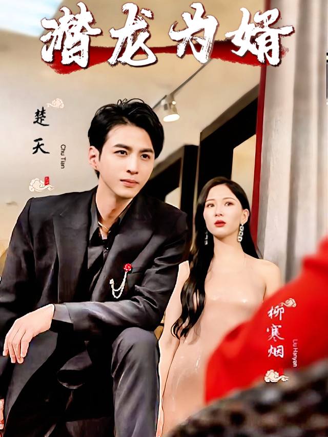 潜龙为婿封面