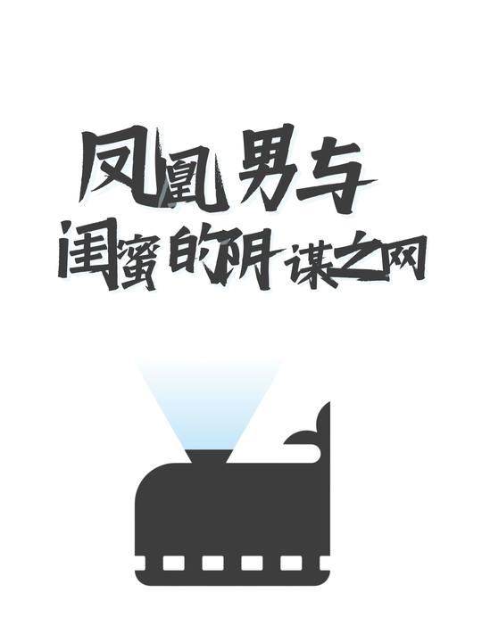 凤凰男与闺蜜的阴谋之网封面