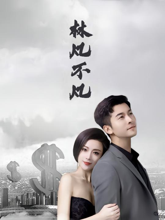 林凡不凡封面