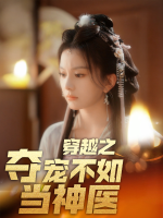 穿越之夺宠不如当神医封面