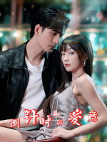 倒计时的爱意封面