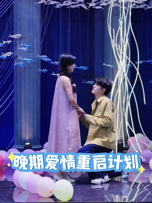 晚期爱情重启计划封面