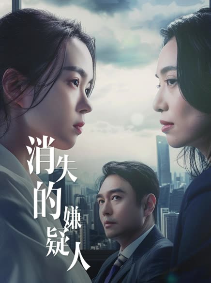消失的嫌疑人封面