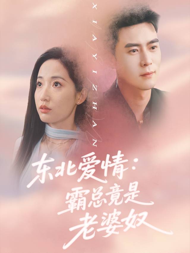 东北爱情:霸总竟是老婆奴封面