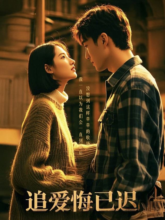 追爱悔已迟封面