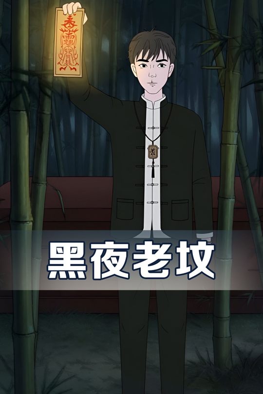 黑夜老坟封面