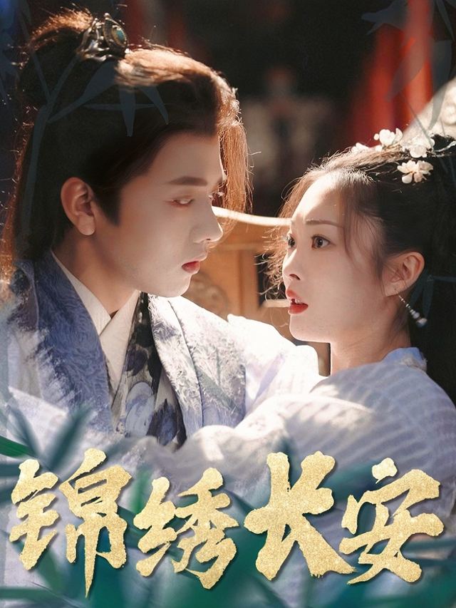 锦绣长安封面