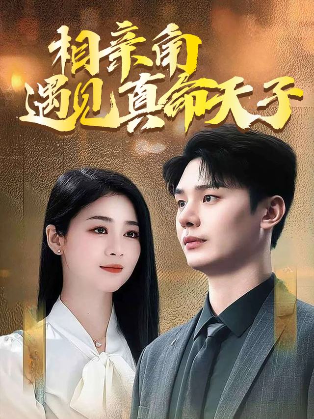 相亲角遇见真命天子封面