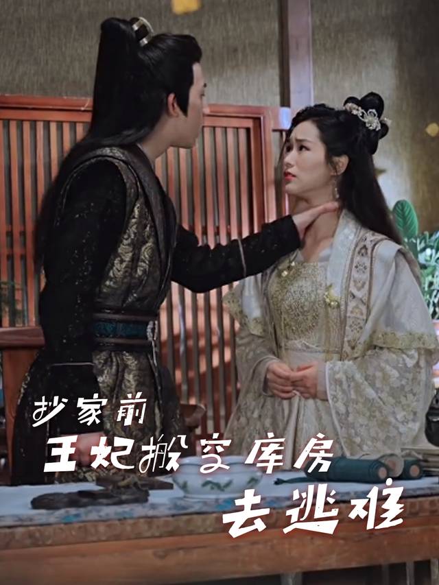 抄家前，王妃搬空库房去逃难封面