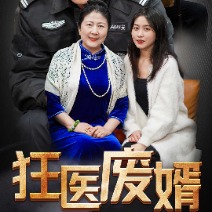 狂医废婿封面
