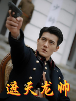 遮天龙帅封面