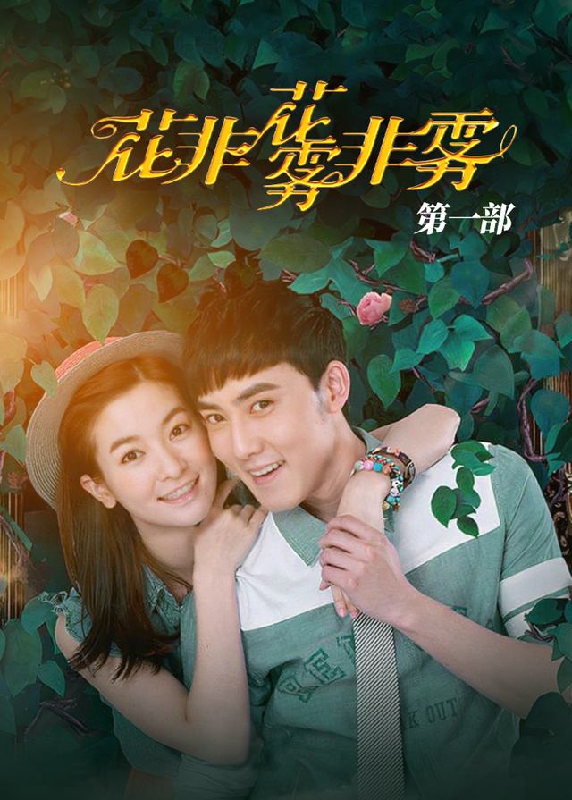 花非花雾非雾第一部(2)封面
