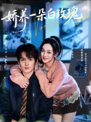 娇养一朵白玫瑰封面