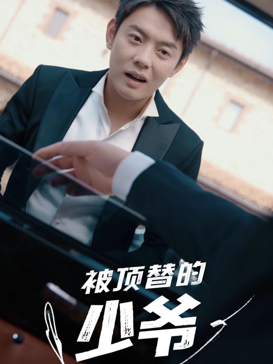 被顶替的少爷封面