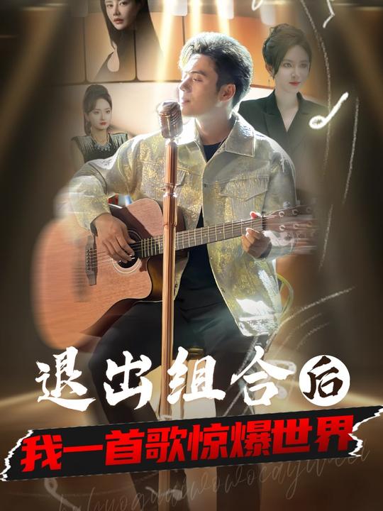 退出组合后我一首歌惊爆世界封面