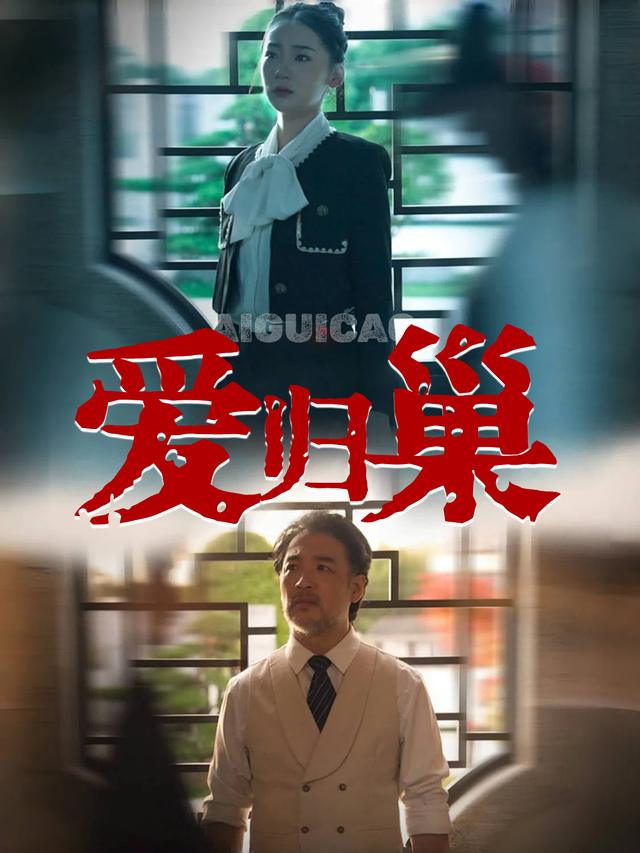 爱归巢封面