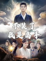 不装了,我是高手封面