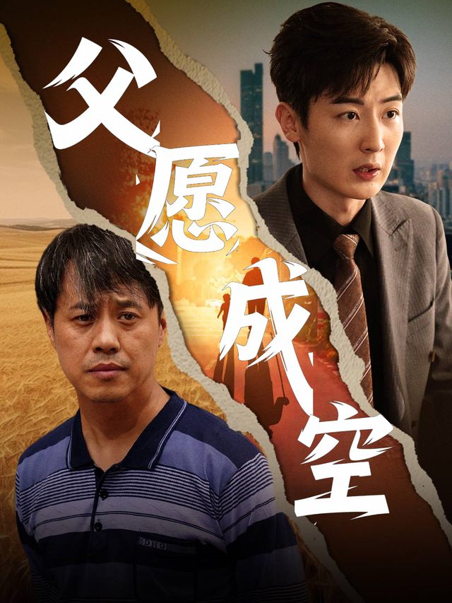父愿成空封面