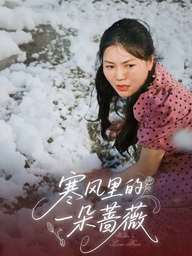 寒风里的一朵蔷薇封面