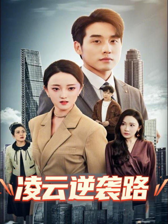 凌云逆袭路封面