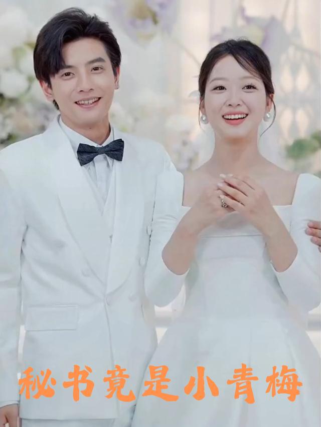 秘书竟是小青梅封面