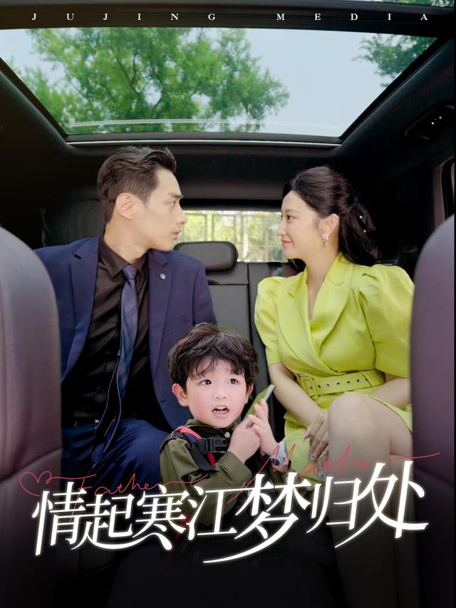 情起寒江梦归处封面