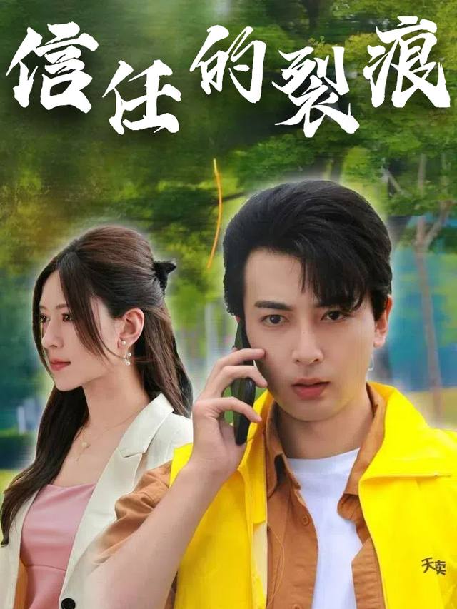 信任的裂痕封面