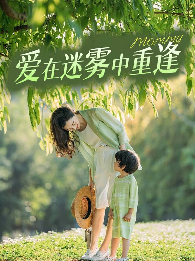 爱在迷雾中重逢封面