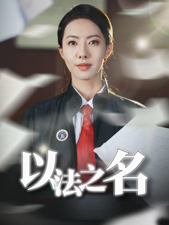 以法之名封面