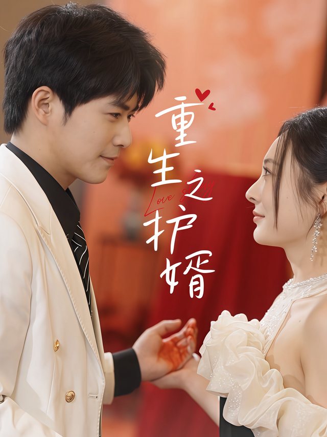 重生之护婿封面