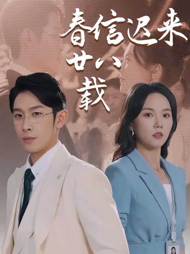 春信迟来廿八载封面
