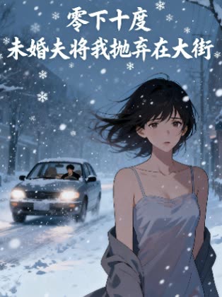零下十度未婚夫将我抛弃在大街封面