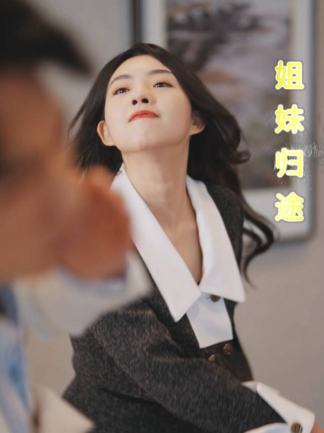 姐妹归途封面