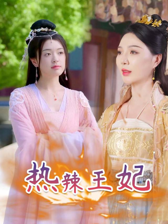 热辣王妃封面