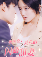 一夜惊喜:陆总的闪婚甜妻封面