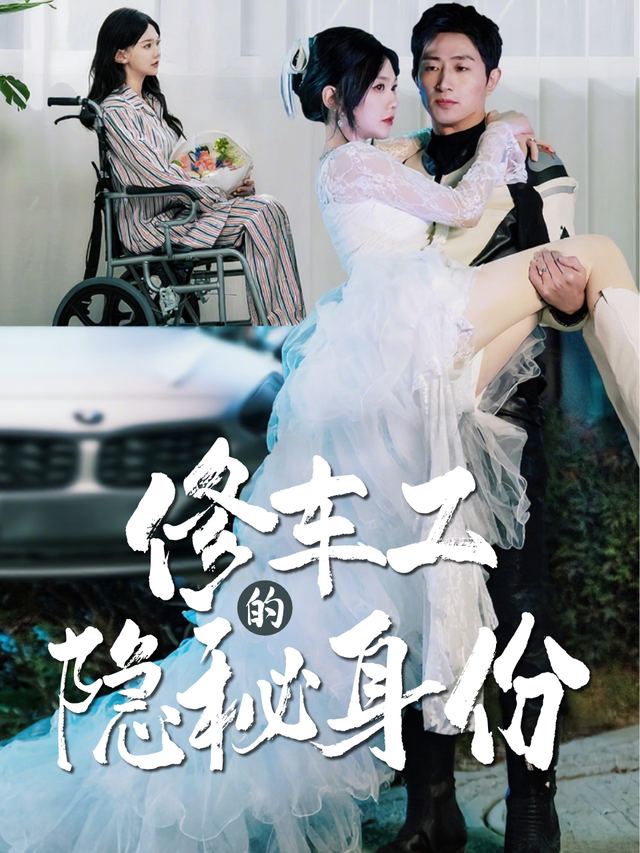 修车工的隐秘身份封面